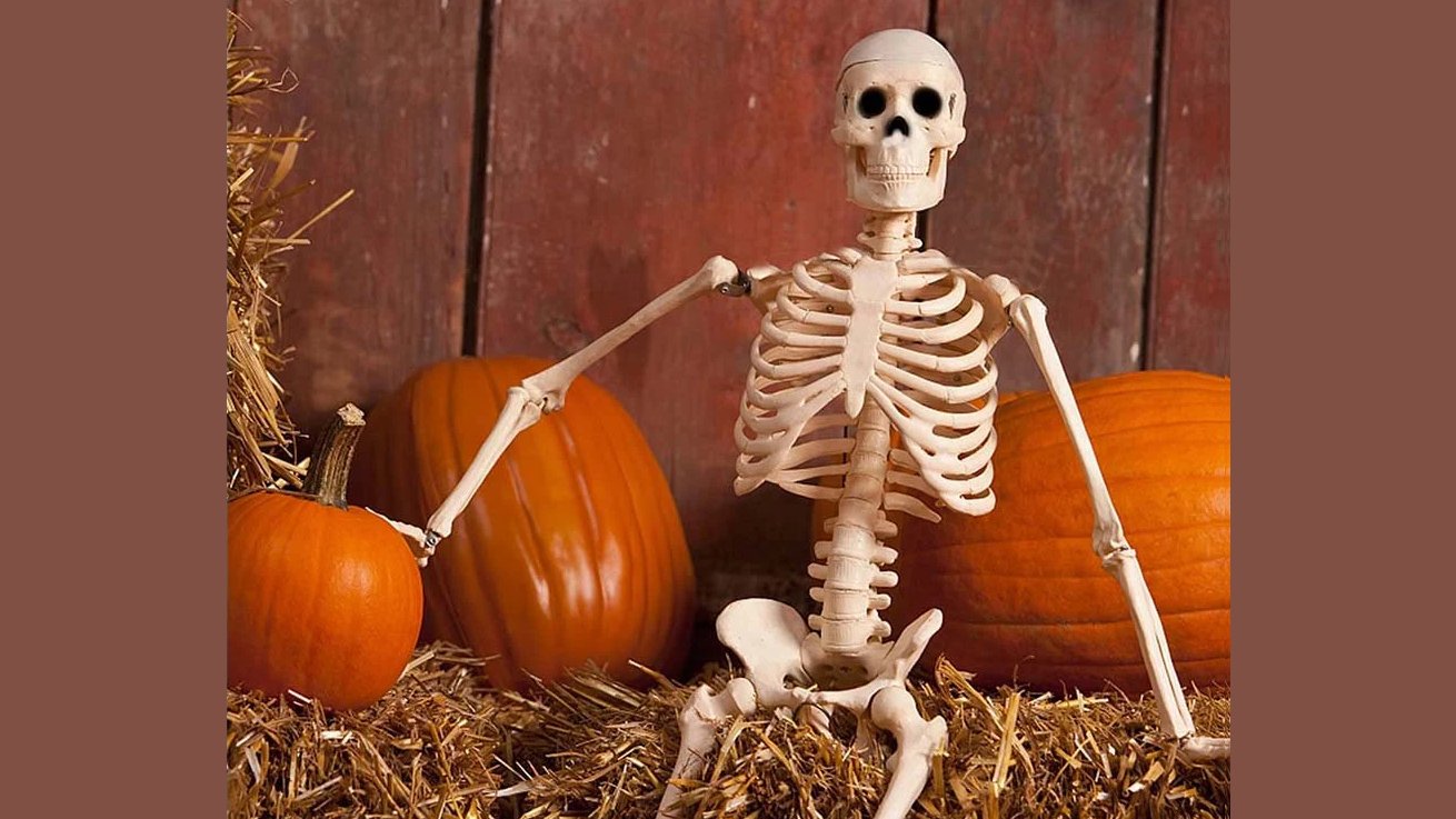 Click to Enlarge-Esc to Close EventPhotos/Halloween/skel 6.jpg
